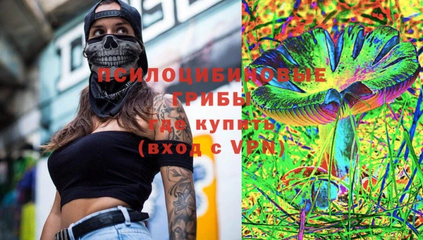 шишки Баксан