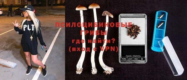 шишки Баксан